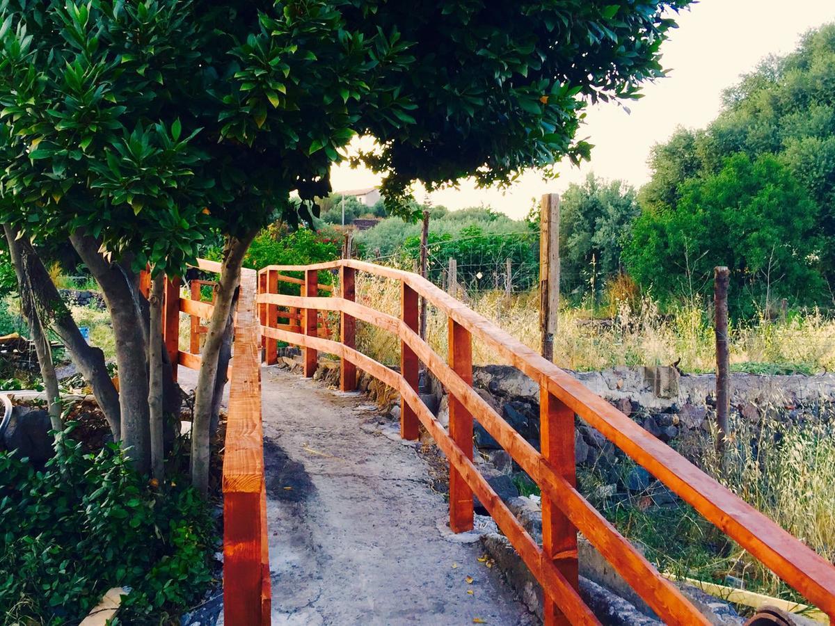 Santa Maria di Licodia Agriturismo Biologico Corte Aragonese מראה חיצוני תמונה